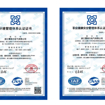 雷諾爾電氣順利通過ISO14001和ISO45001環(huán)境、安全管理體系認(rèn)證